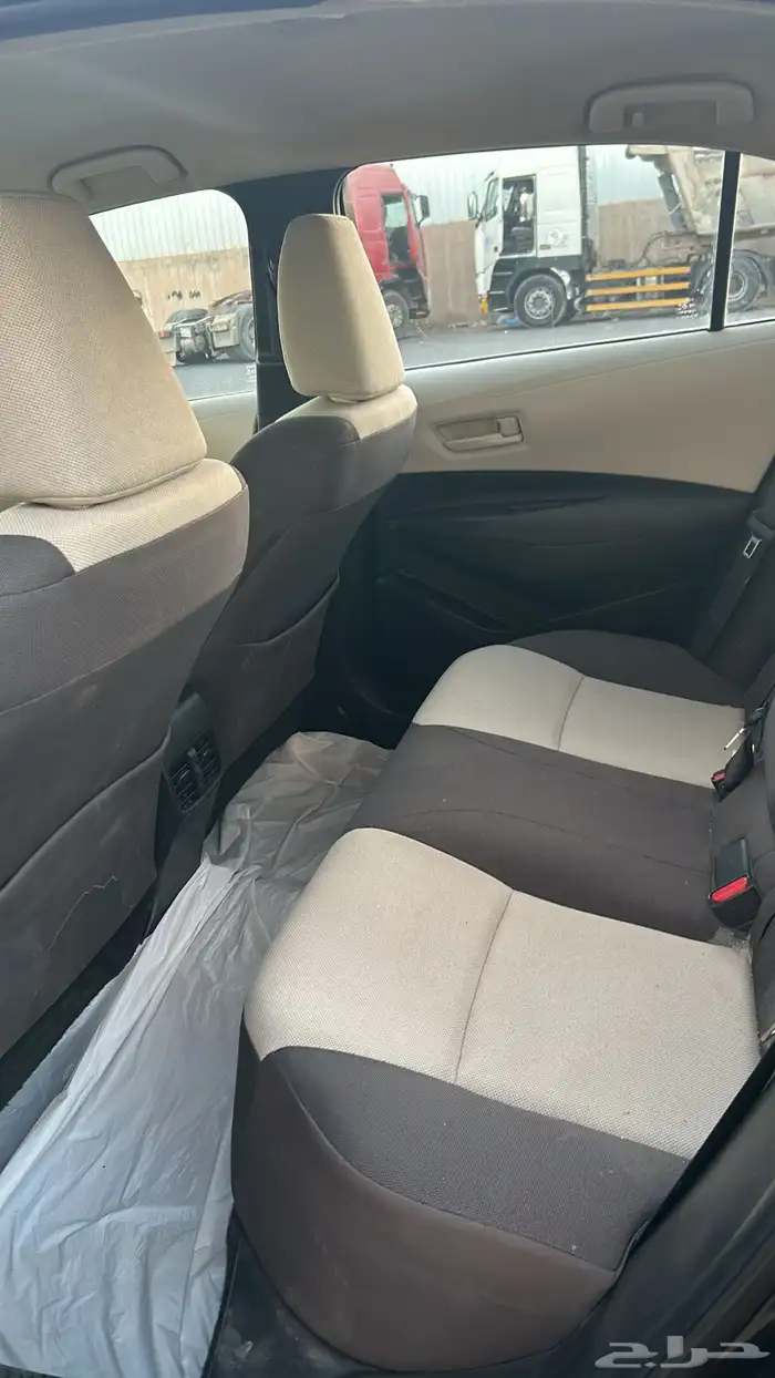 للبيع كوريلا 2020 5