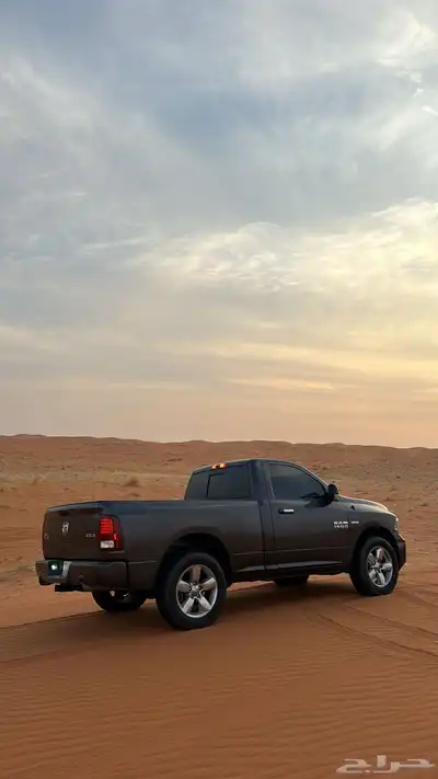 رام بق هورن نظيف للبيع index