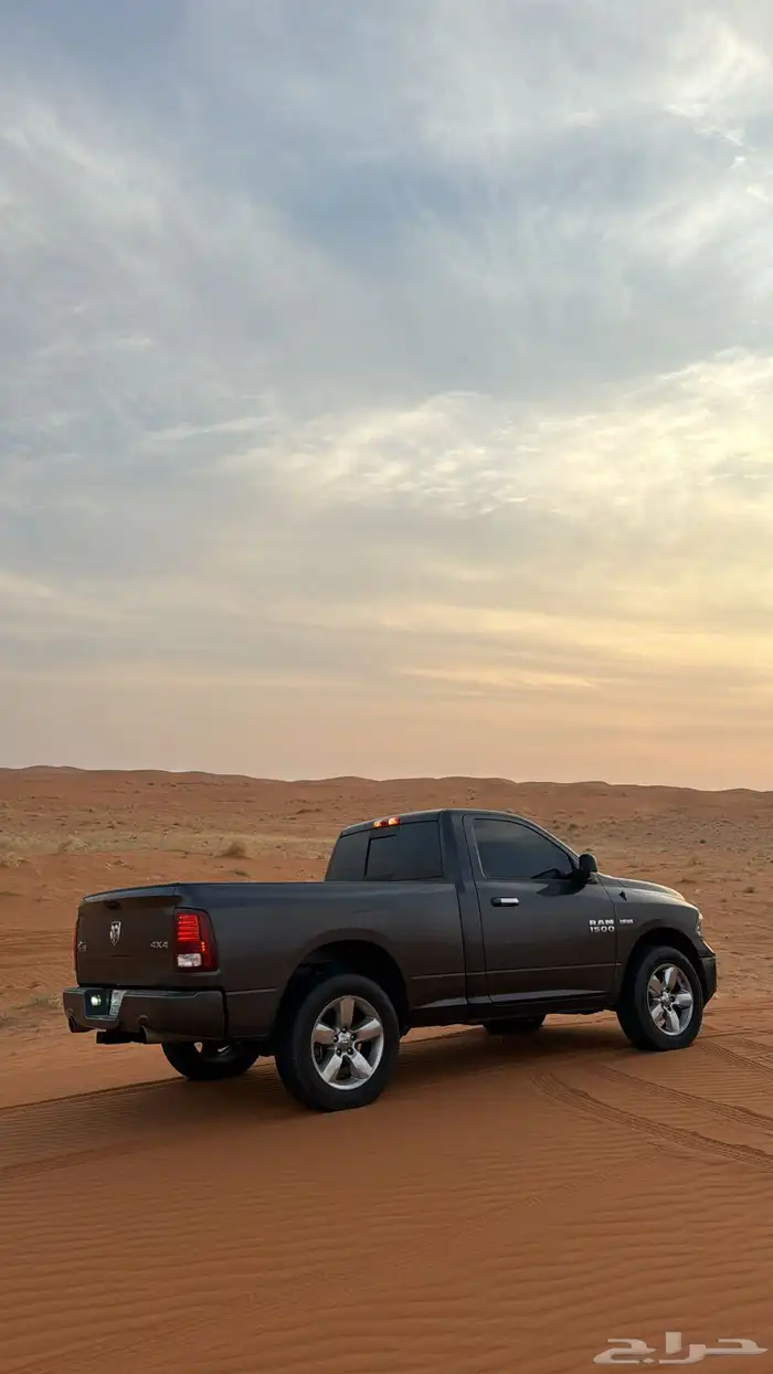 رام بق هورن نظيف للبيع 0