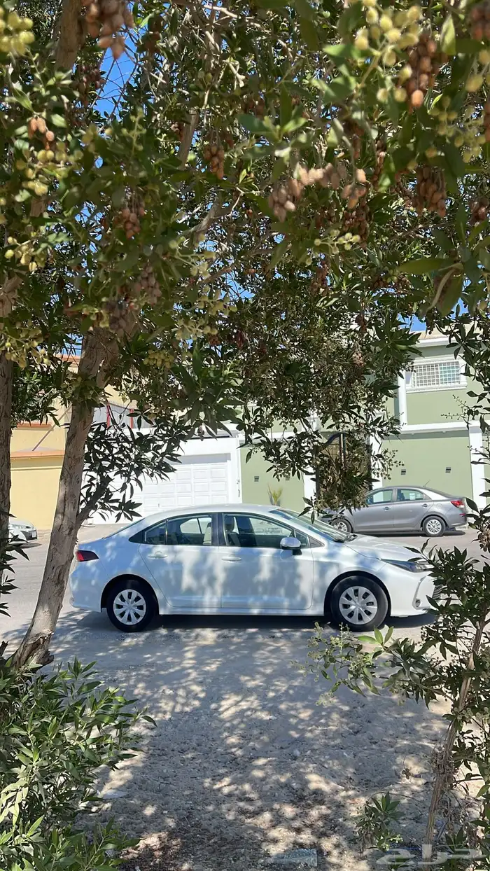 كورلا 2024 مكينه 3 سلندر نظيفه 2