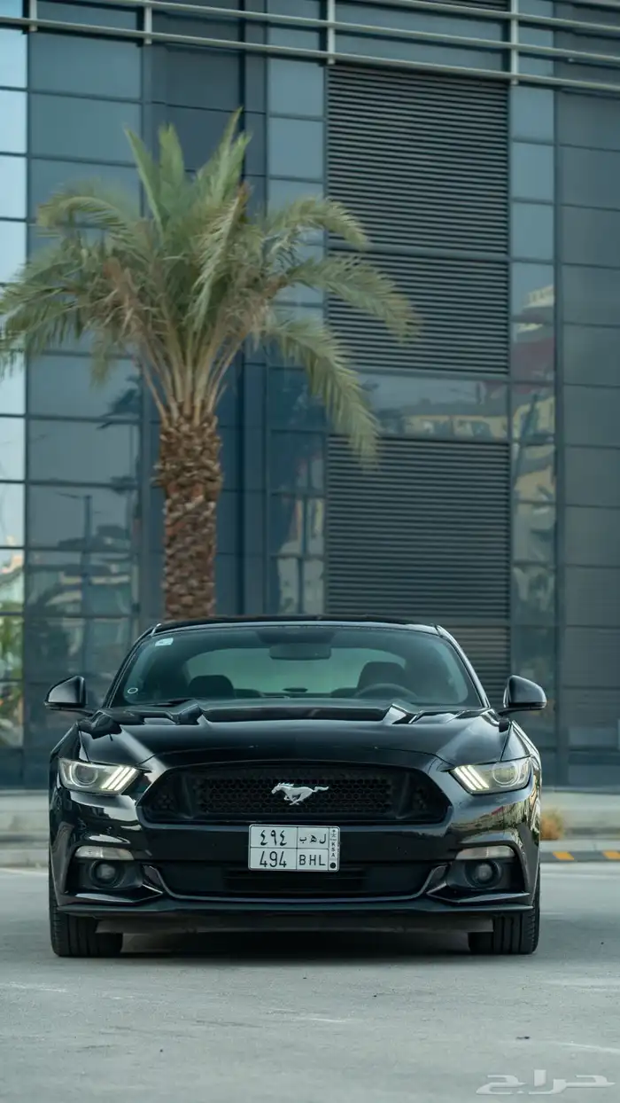 فورد موستنق خمسين عام 50 Years 1