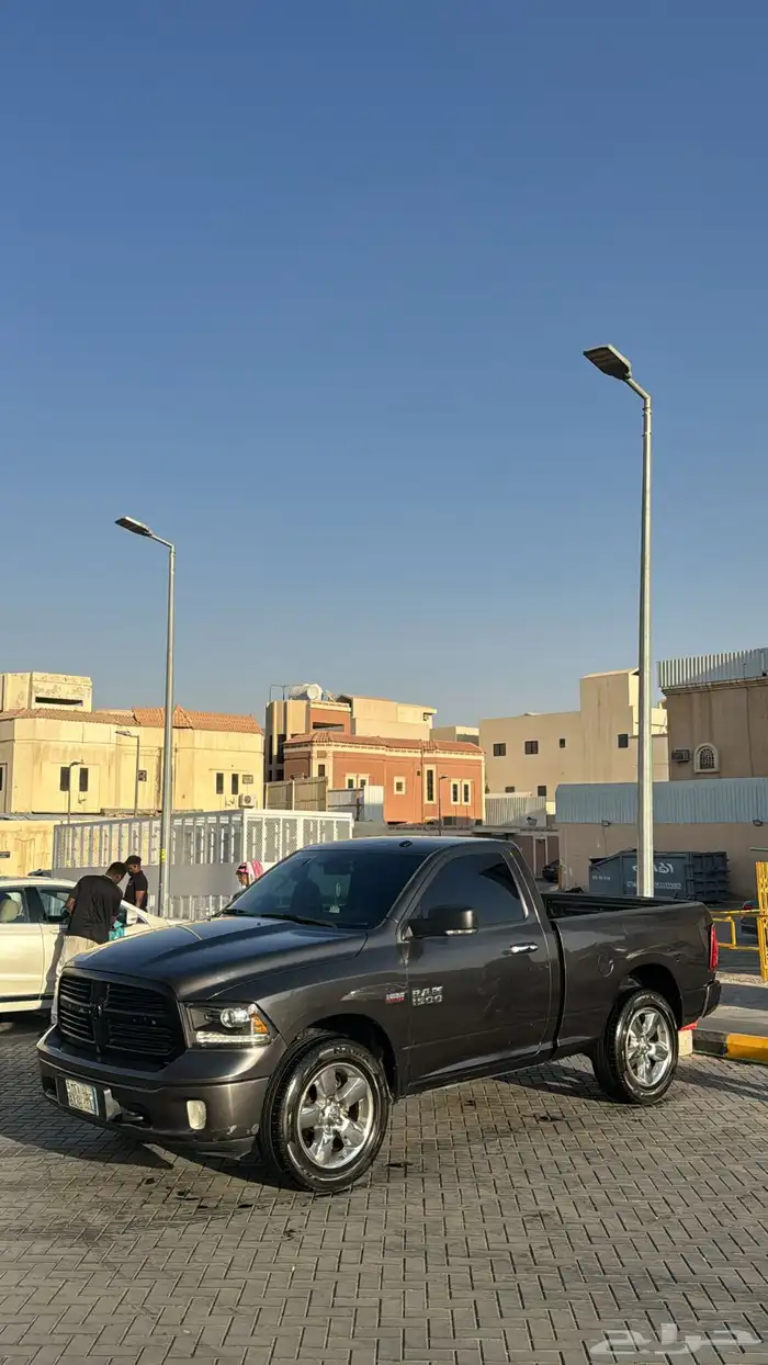 رام بق هورن نظيف للبيع 3