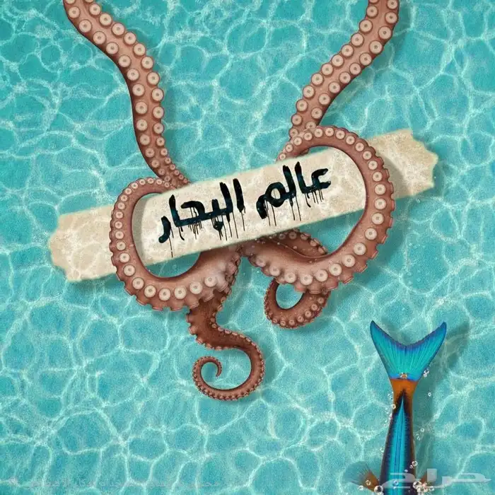 تصميم ثامنيل احترافي 0