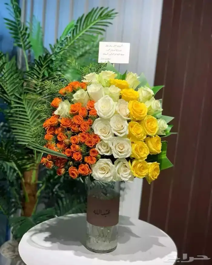 مق هاف مليون ألوان الجديد الوردي 10