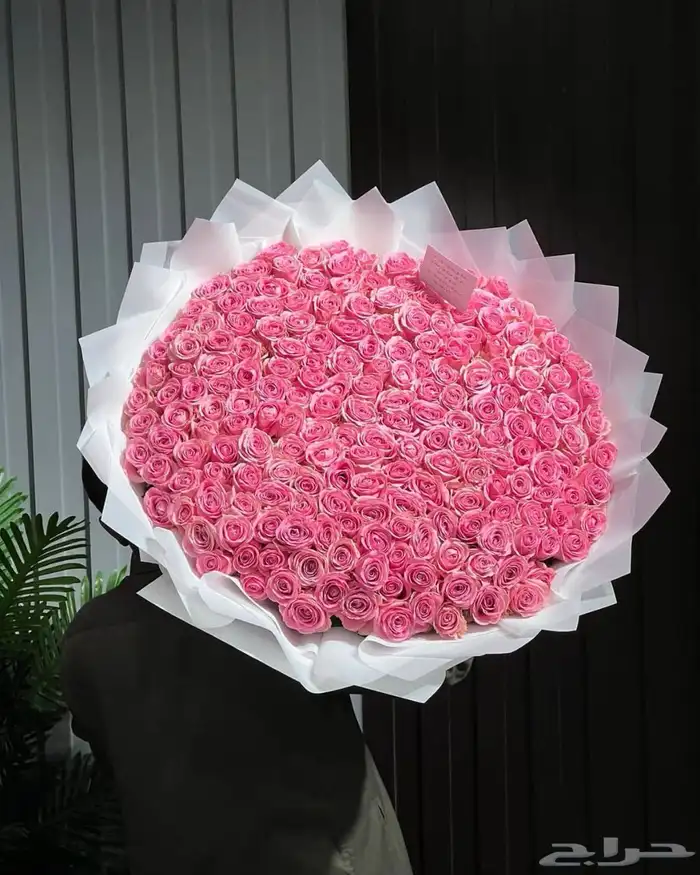 مق هاف مليون ألوان الجديد الوردي 15