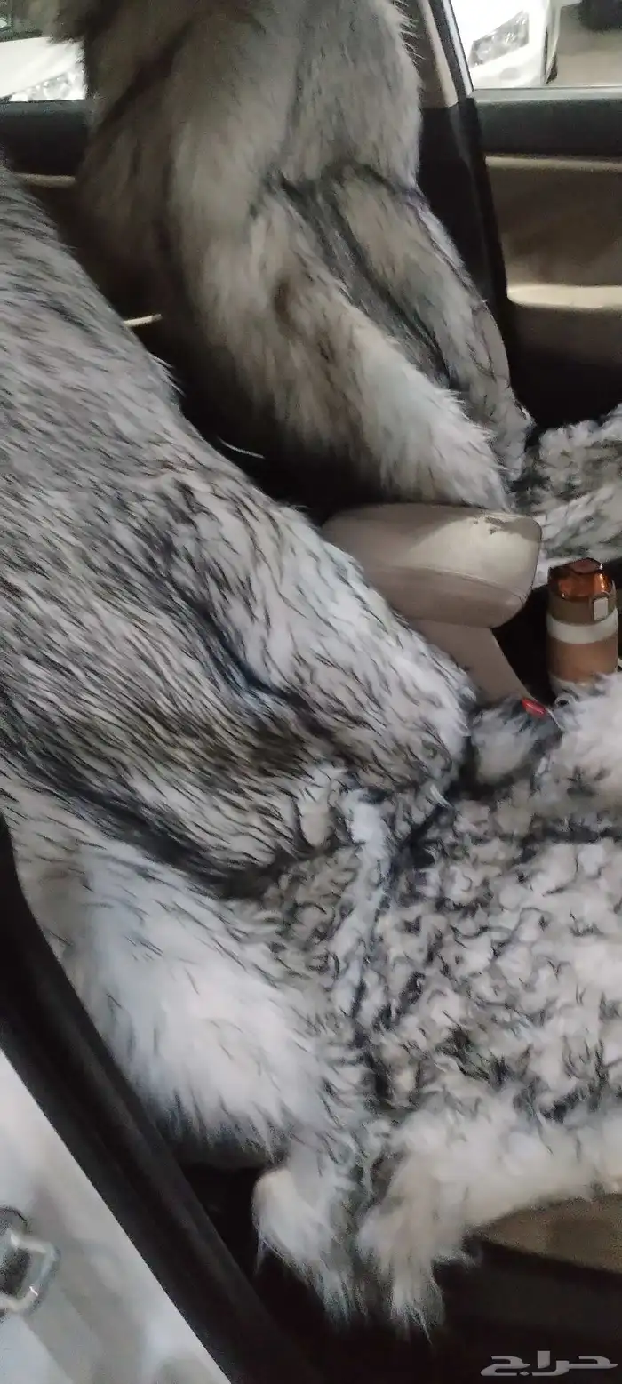 توسان 2016 اتماتيك دبل 9