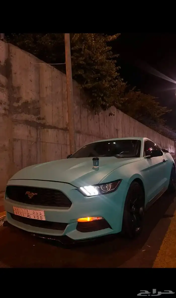 موستنج موديل 2015 8