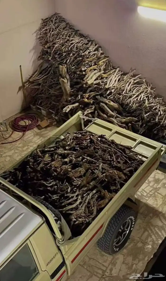 للبيع خياش او مسح الحوض و للتنده شاص حطب مستورد اقريقي 0