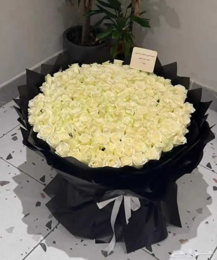 هدايا خميس مشيط 8