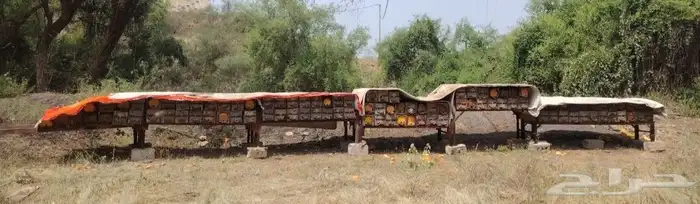 نحل للبيع كفو 0