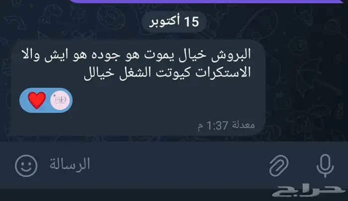 بروشات تخرج 7