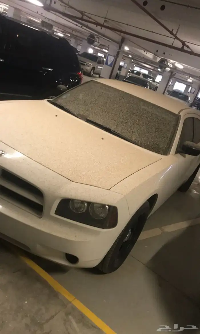 دودج بوليسي 2010 0