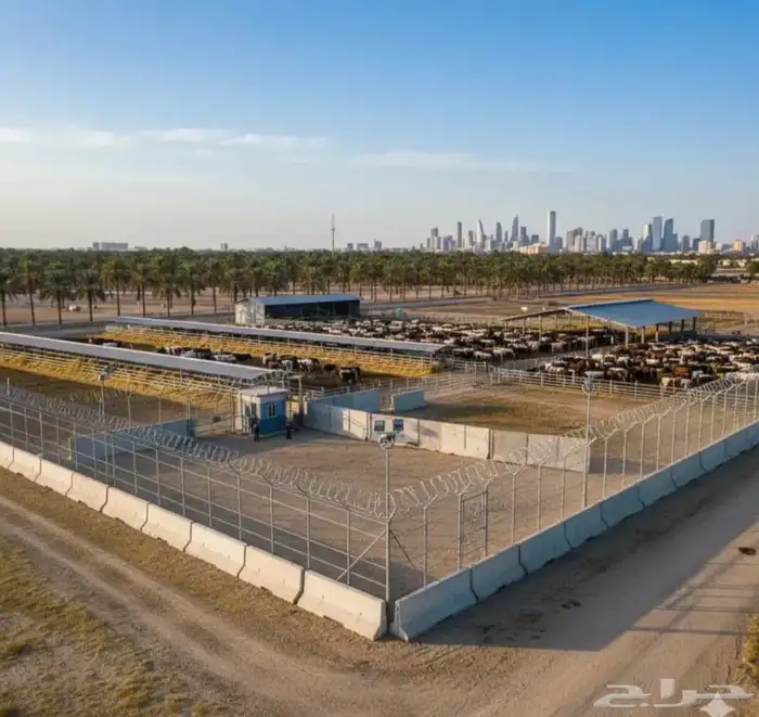 مقاوال شبوك 1