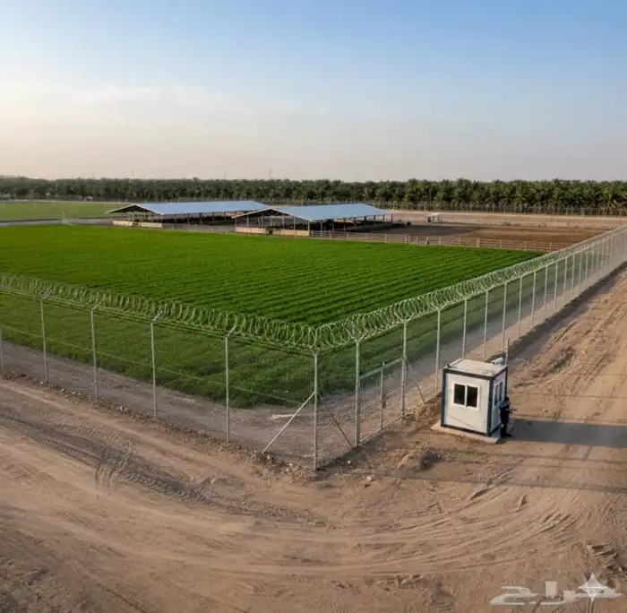 مقاوال شبوك 0