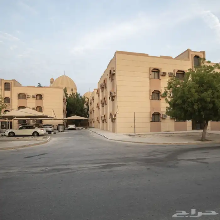 ابحث عن شقة صغيره من غرفتين وصاله ومطبخ 0