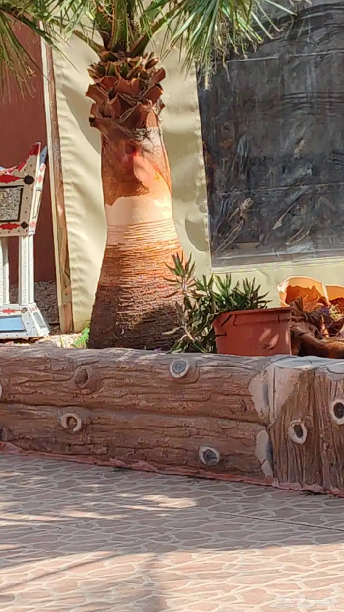 تكريب النخل وقص الاشجار 8