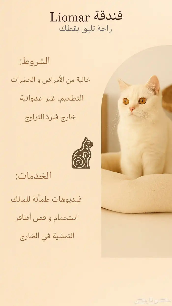 فندقة قطط منزلية 0