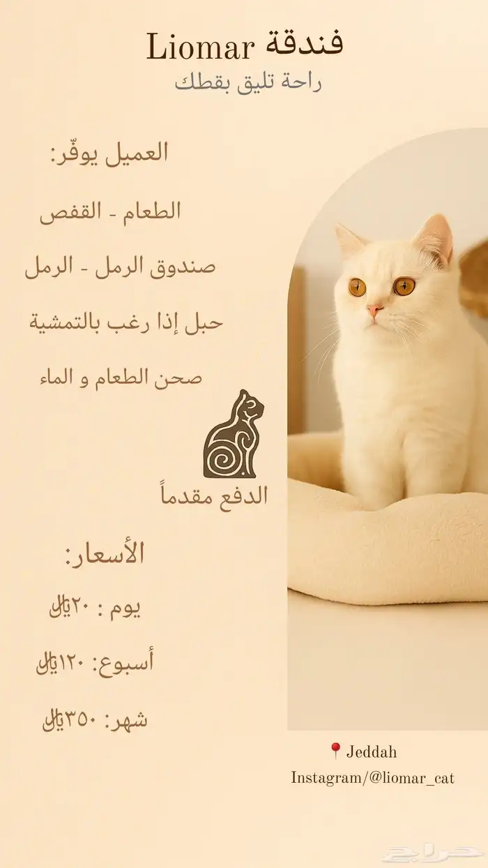 فندقة قطط منزلية 1