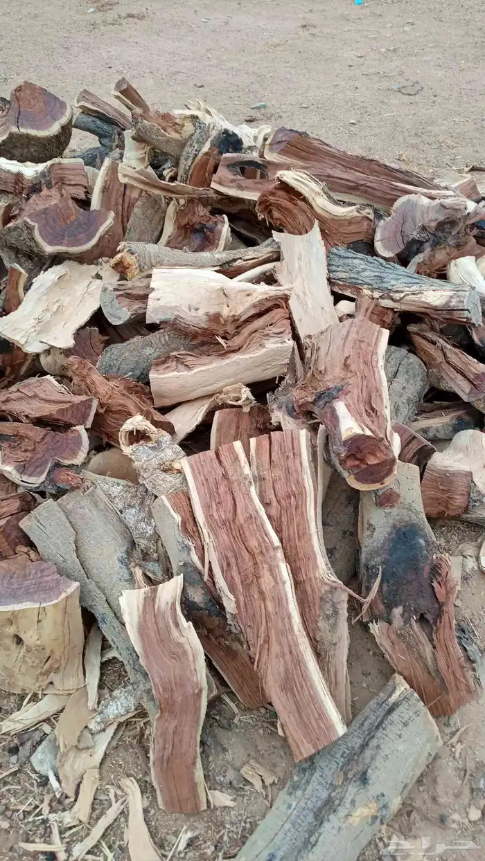 شاص صندوق للبيع 2013 3