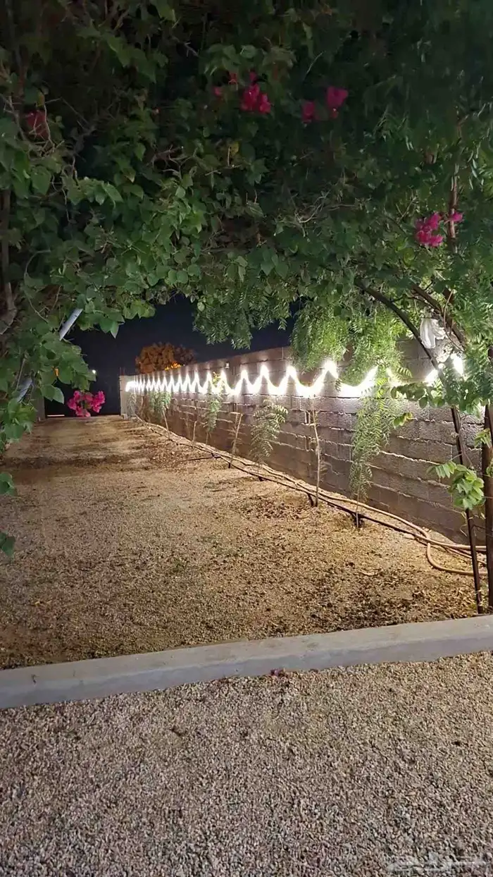 مزرعة خاصة للايجار اليومي 3