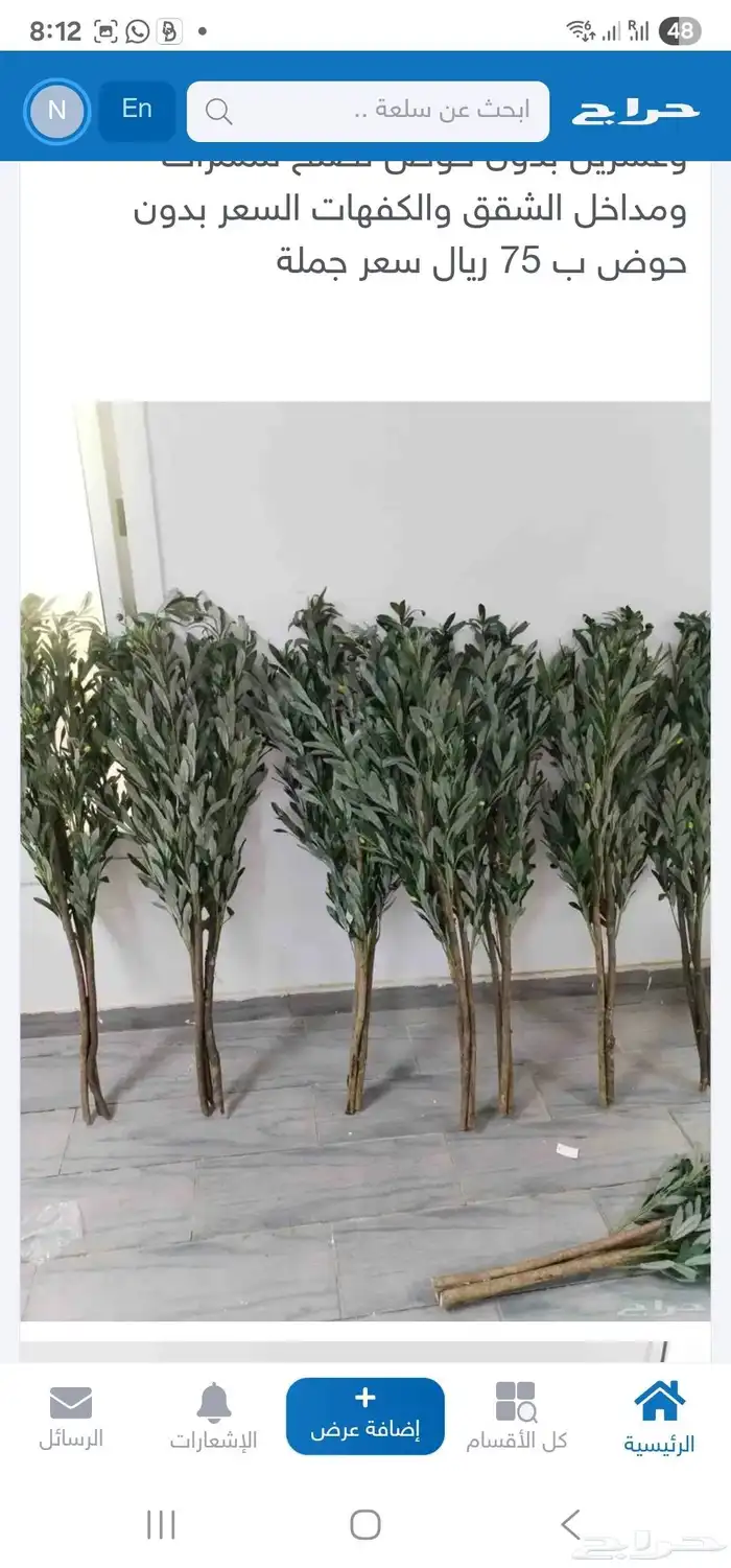 شجر زيتون صناعي وجذع طبيعي تصلح للممرات ومداخل الشقق والكفها 7
