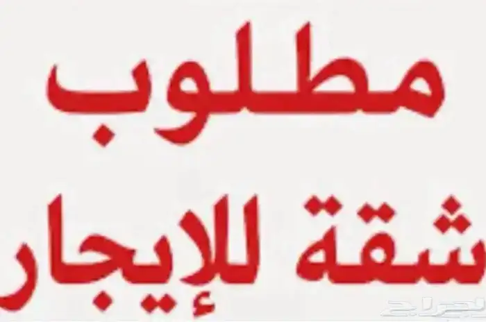 مطلوب شقتين للايجار 0