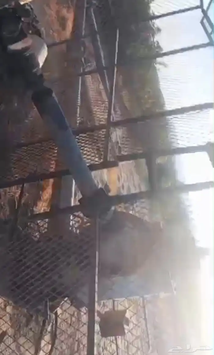 ماكينة كاتربيلر   طرمبه ( للبيع ) 3