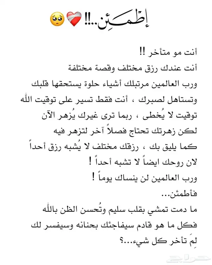 ادوات قطط 4