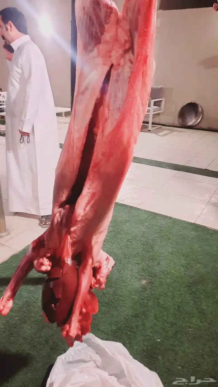 مشويات معلم مشاوي شوي خارجي في الموقع دوار السعادة 6