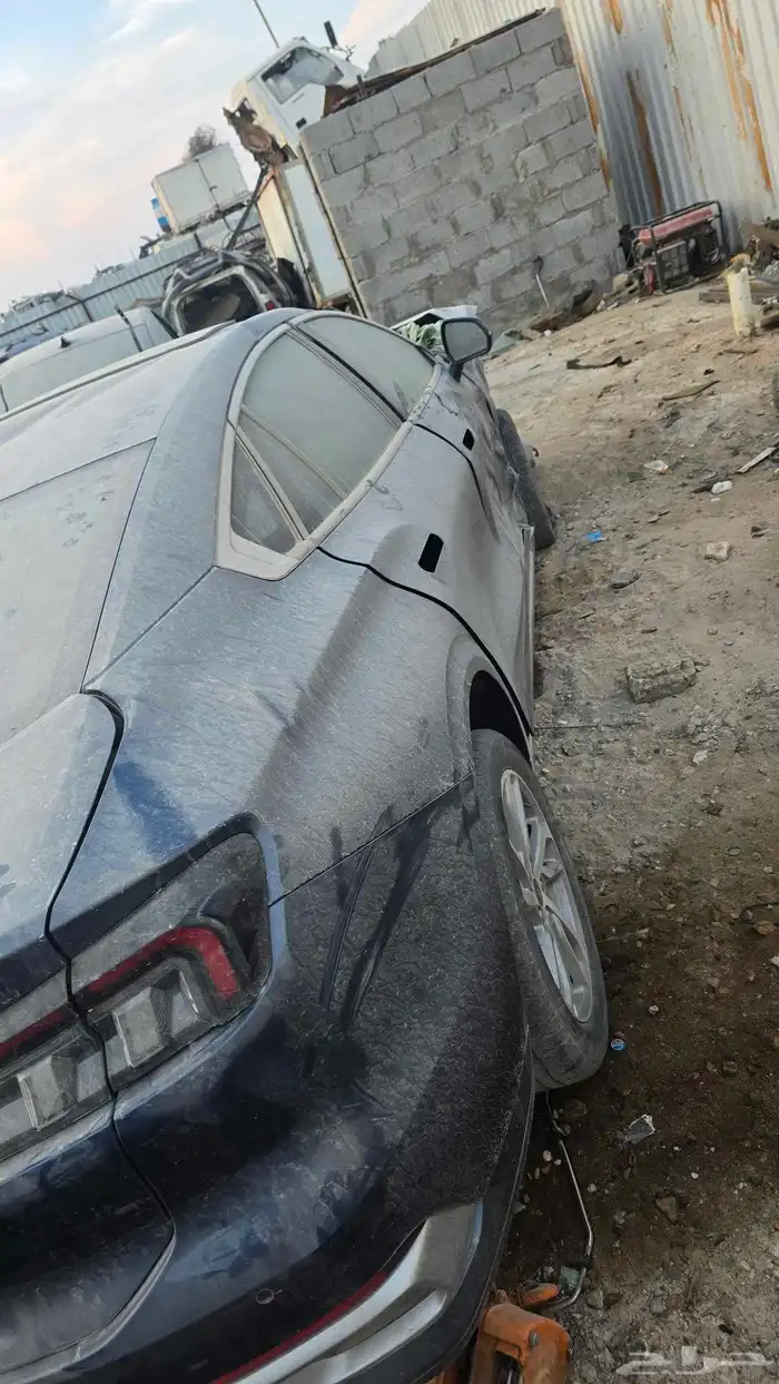 تورس موديل 2023 3