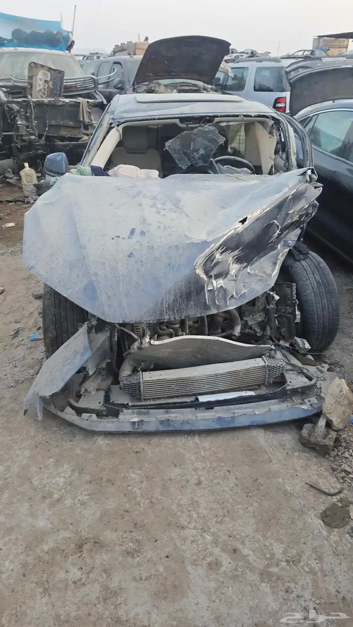 تورس موديل 2023 1