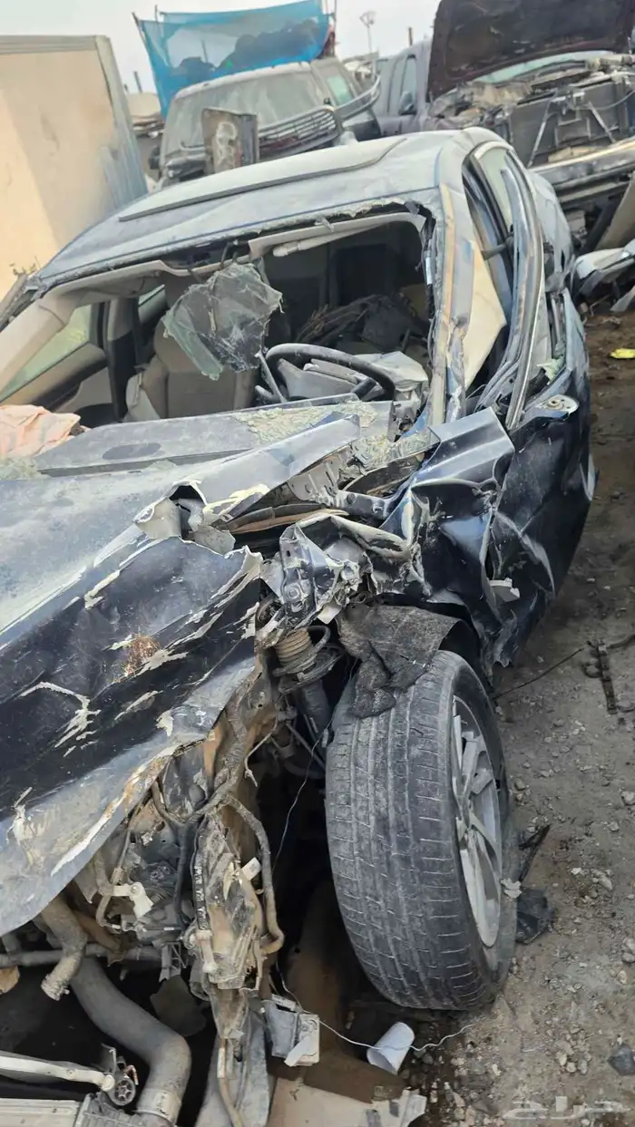 تورس موديل 2023 0