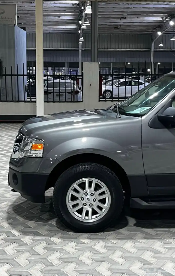 فورد اكسبيدشن 2013 دبل 1