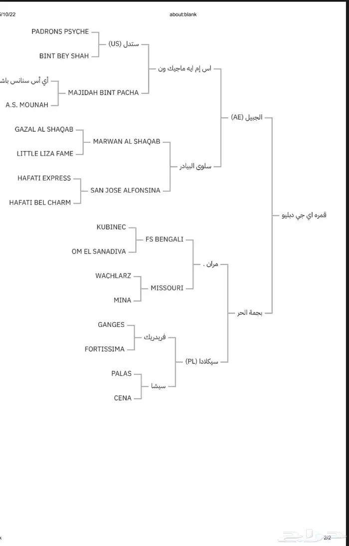 مهرة عربية 5