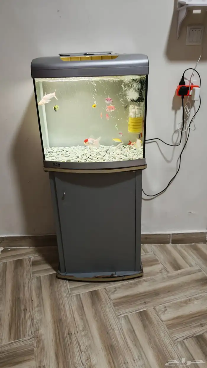 سمك وحوض اسماك زينة منوع مع ادوات الحوض 0