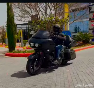 هارلي رودقلايد index