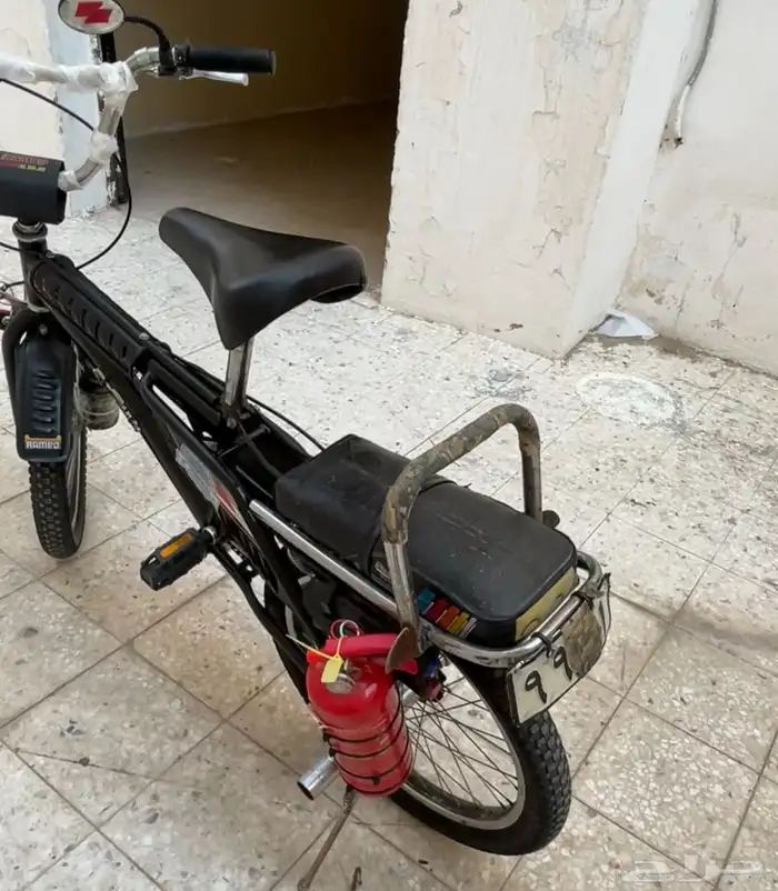 رامبو أصلي للبيع السوم يكون فوق 400 5