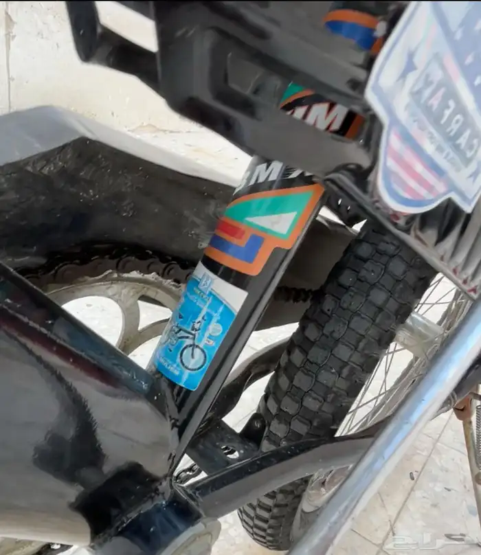 رامبو أصلي للبيع السوم يكون فوق 400 0