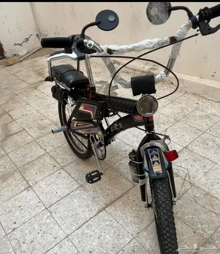 رامبو أصلي للبيع السوم يكون فوق 400 2