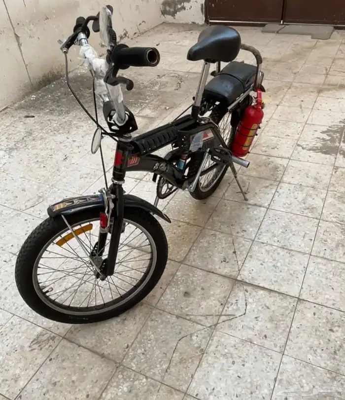 رامبو أصلي للبيع السوم يكون فوق 400 3