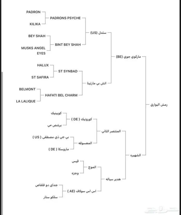حصان مكس حار 2