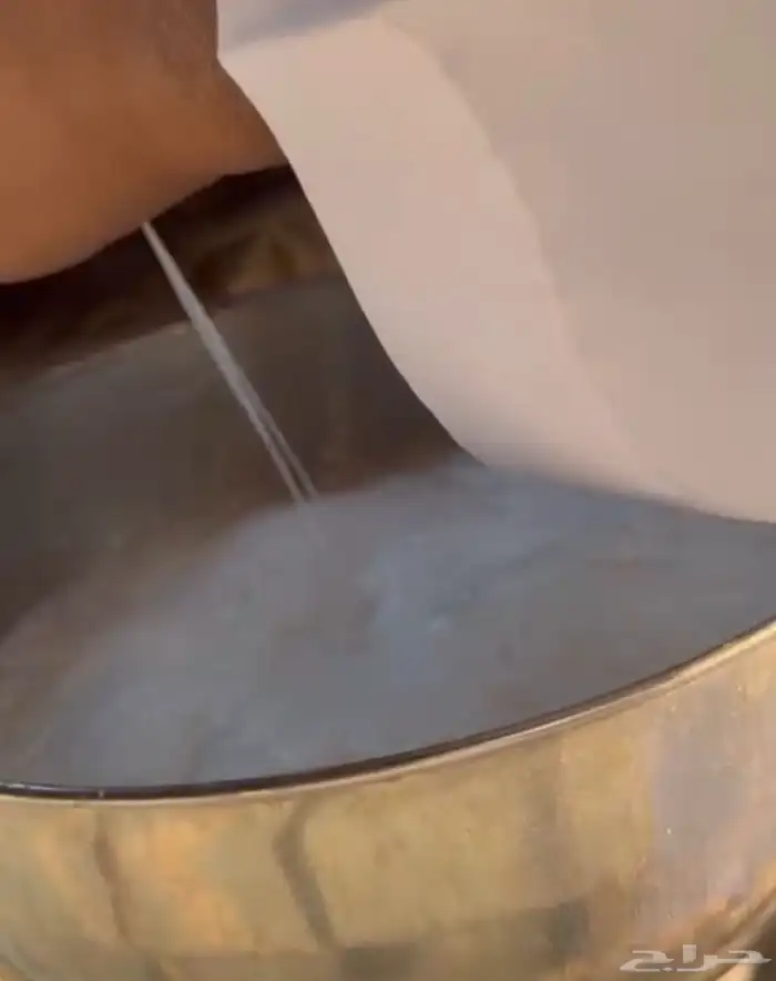 خلفه مجهم تحلب بربطب ولبن واجد ماتحترك بربط 4