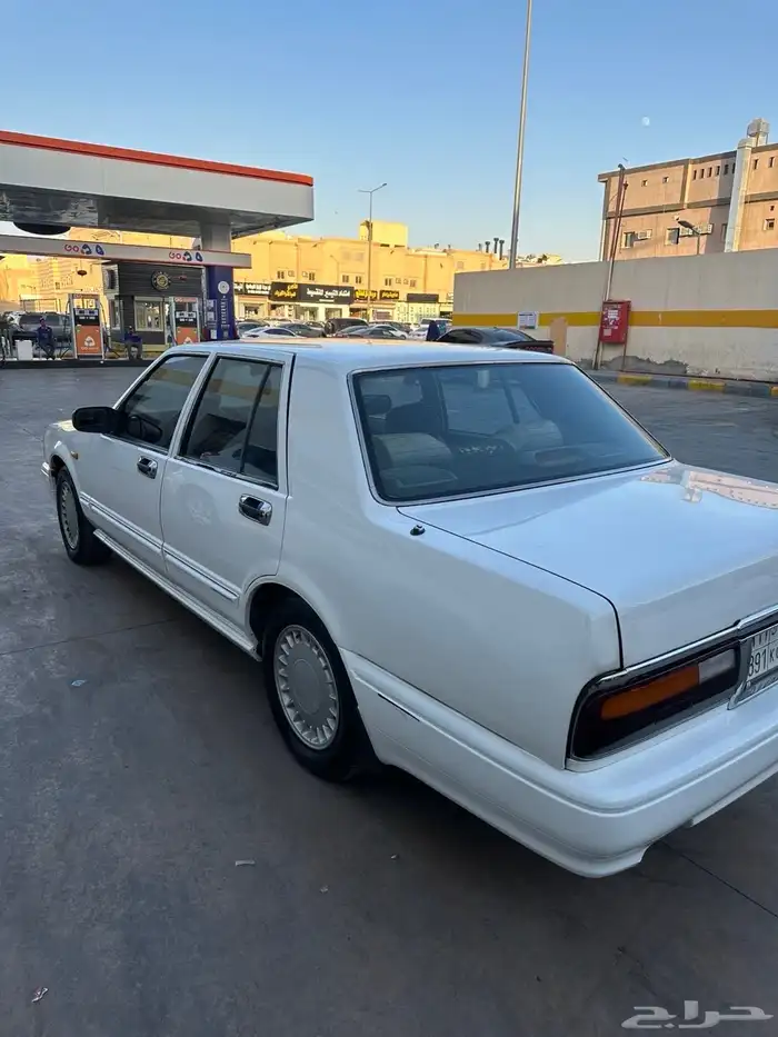 سيدرك نظيف بودي بلد 6