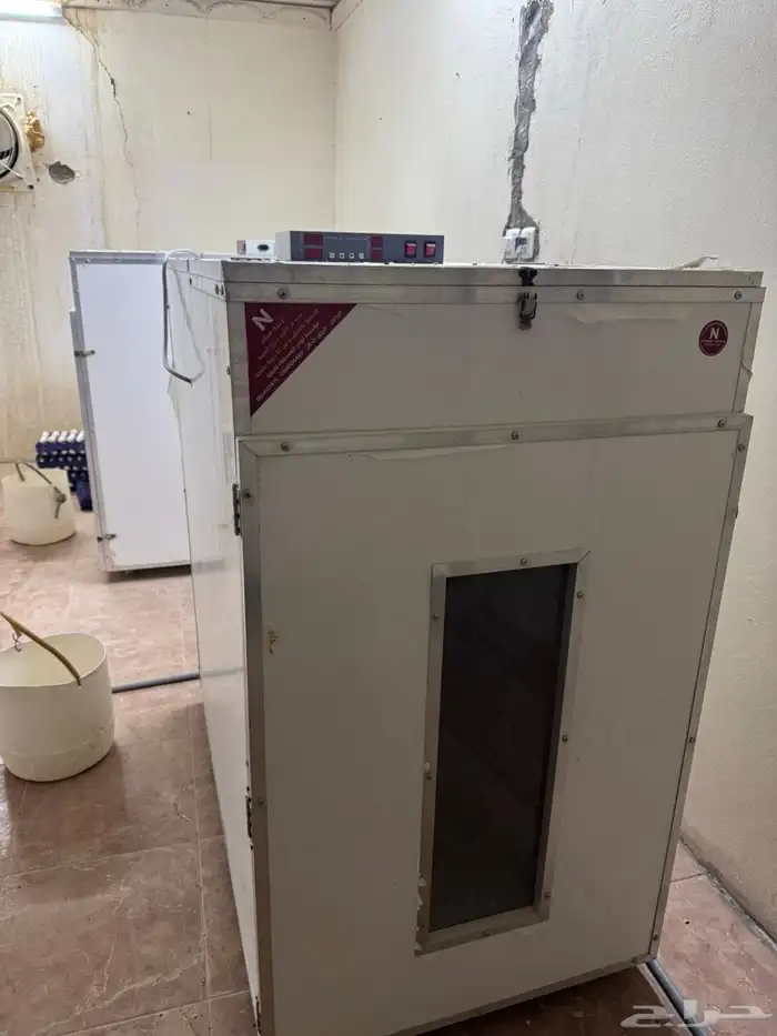 فقاسات ودجاج صغير وكبير 3