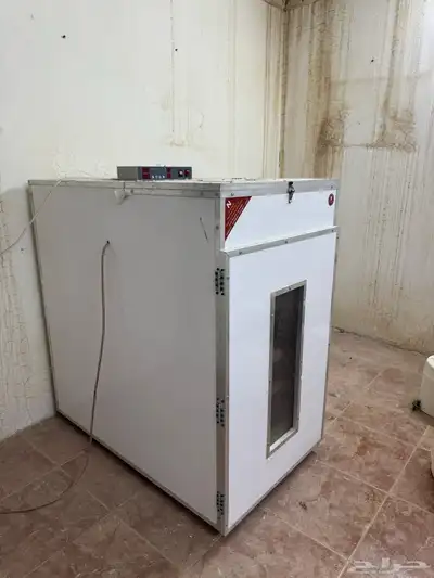 فقاسات ودجاج صغير وكبير index