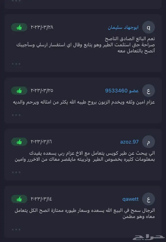 كاسكو متكلم بالوجة كبتن اليف 8