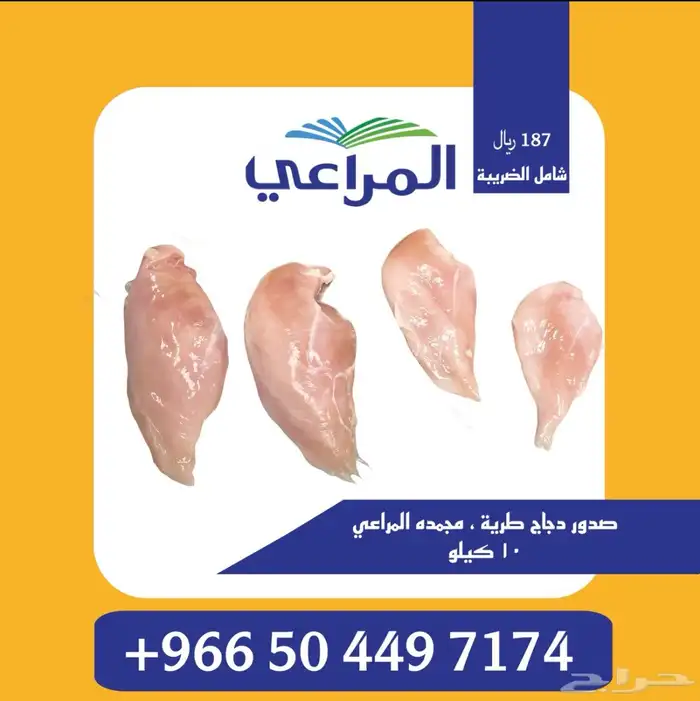 اقل سعر صدور دجاج 0