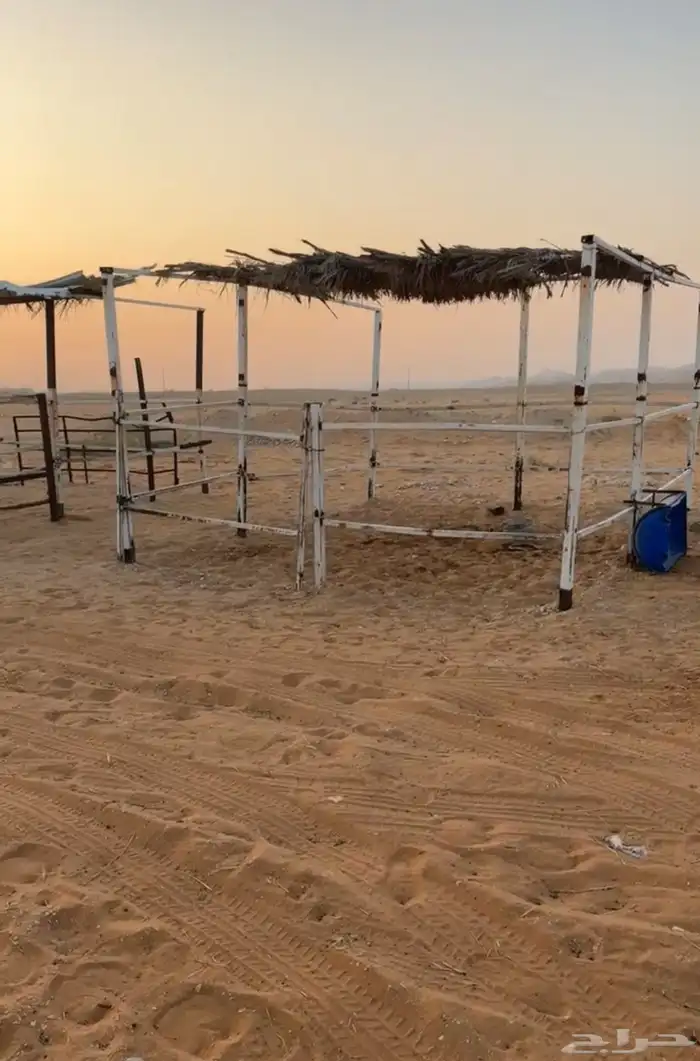 بادوك خيل غرف حديد تيوب 3