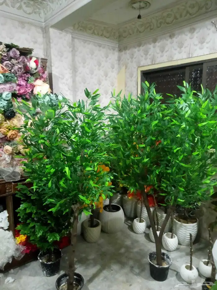 شجر زيتون صناعي وجذع طبيعي تصلح للممرات ومداخل الشقق والكفها 5