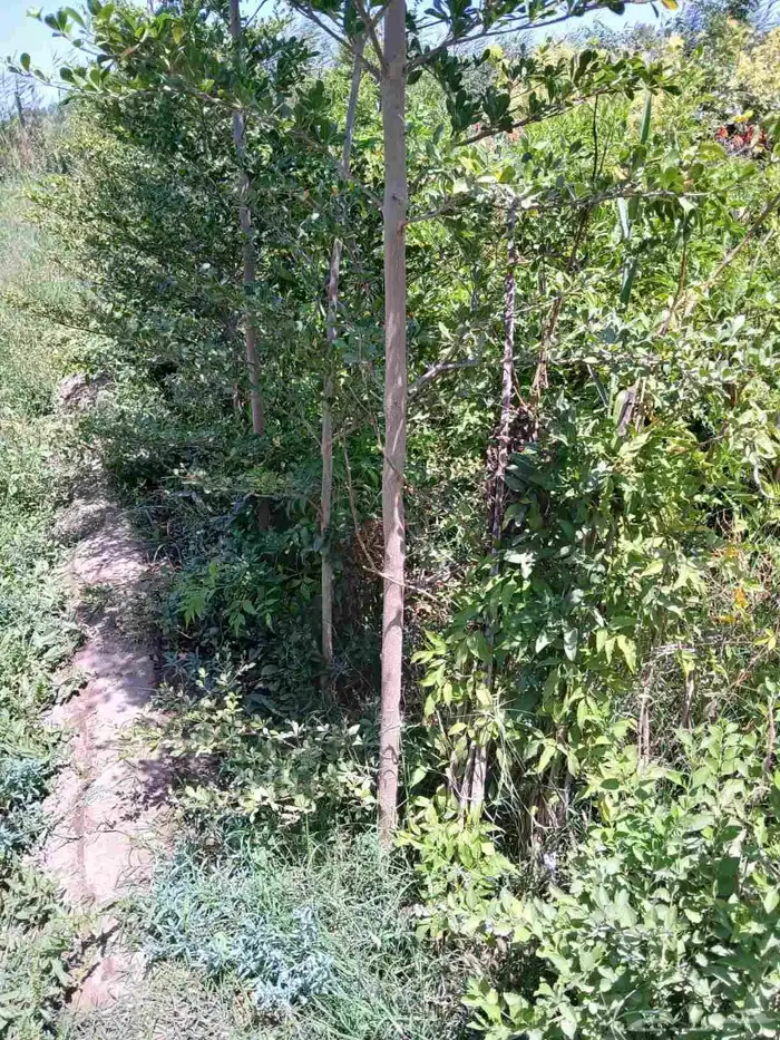 مشاتل الدمام طريق الجبيل 4